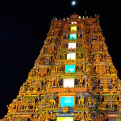 Rajesh Rajesh